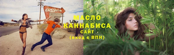 дмт Елизово