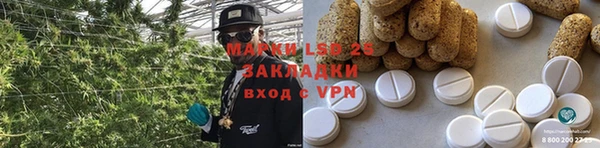 хмурый Елабуга