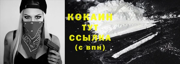 крисы Ельня