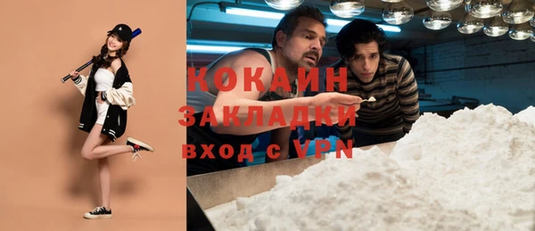 крисы Ельня