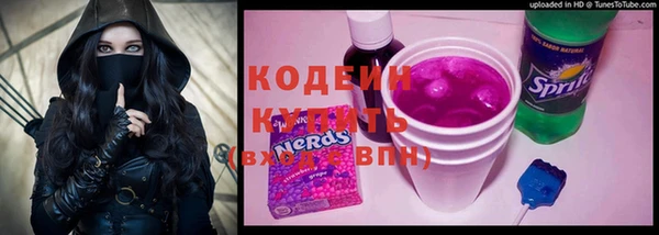 дмт Елизово