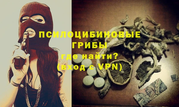 крисы Ельня