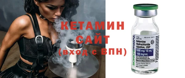 крисы Ельня