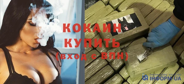 крисы Ельня