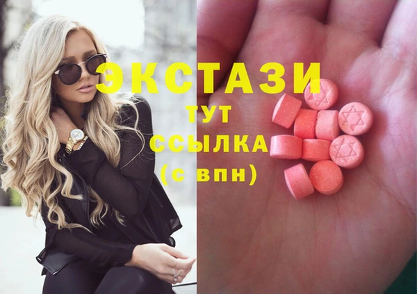 крисы Ельня