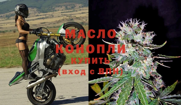 крисы Ельня