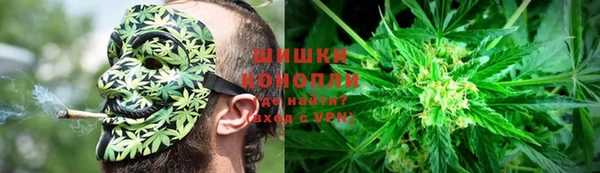 крисы Ельня