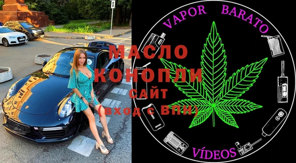дмт Елизово