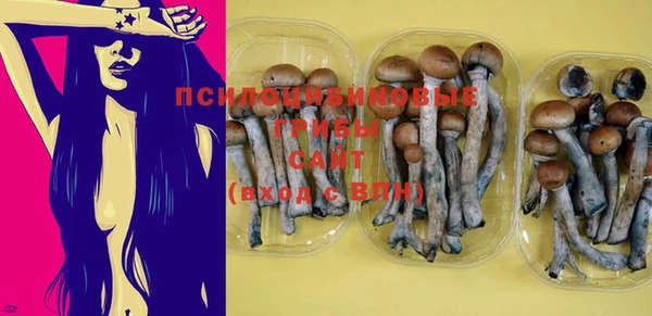 стафф Дмитровск