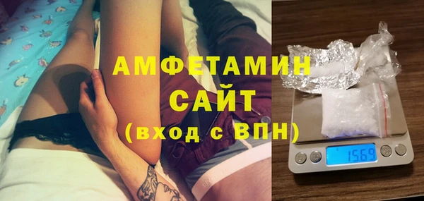 крисы Ельня